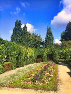 Ivy tarafından yetiştirilen sütunlar