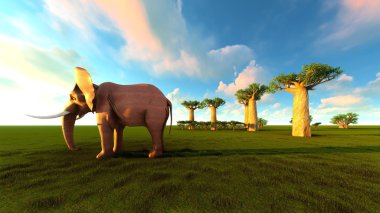 baobab ağaçları yürüyen fil 3D çizimi