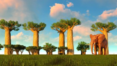 baobab ağaçları yürüyen fil 3D çizimi