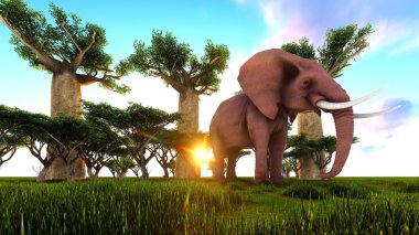 baobab ağaçları yürüyen fil 3D çizimi