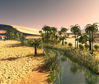 Palmiye ağaçları oasis 3d çizim yakınındaki