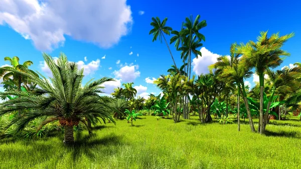 Tropikalna dżungla podczas renderowania 3d dnia — Zdjęcie stockowe