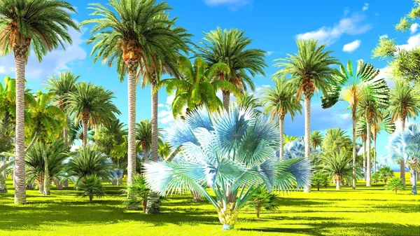 Giungla tropicale durante un giorno rendering 3d — Foto Stock