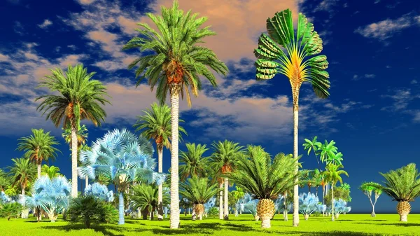 Selva tropical durante un día 3d renderizado — Foto de Stock