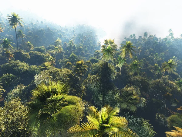 Tropisk landskab på øen - Stock-foto