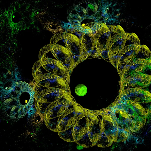 Anêmona isolada no recife — Fotografia de Stock