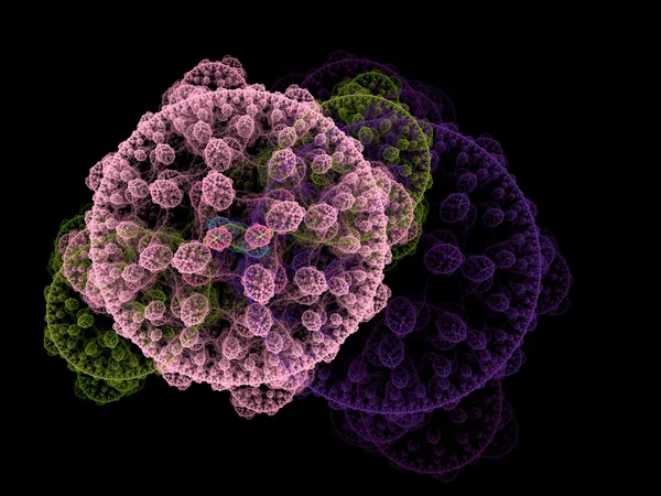 对称生长的细菌 — 图库照片
