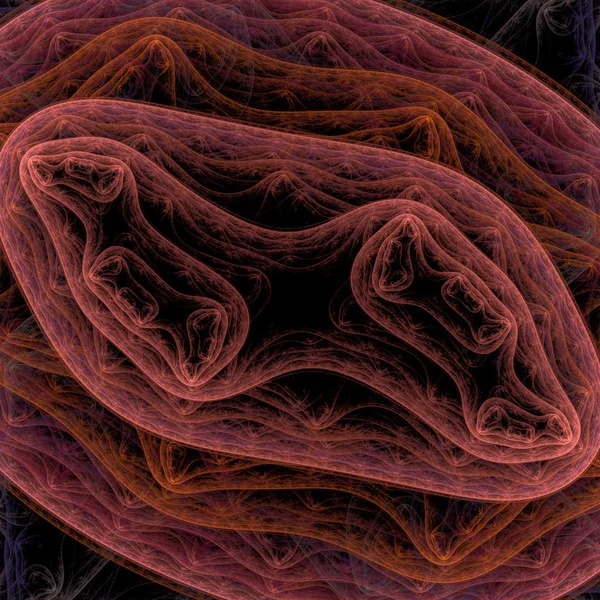 Симметричный рост бактерий — стоковое фото