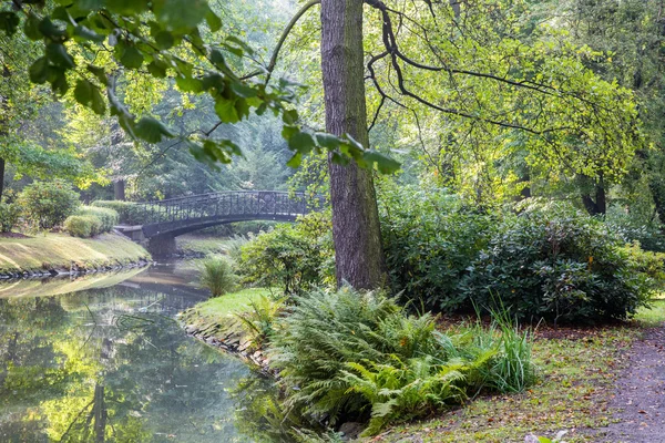 Japansk trädgård — Stockfoto