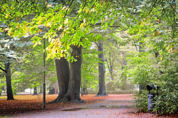 Sentiero nel parco — Foto Stock