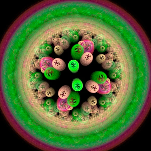 Croissance symétrique des bactéries — Photo