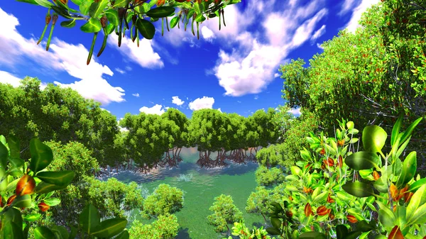 Red mangove shore — Stock Photo, Image