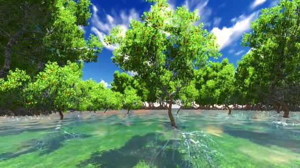 Rode mangove shore — Stockvideo