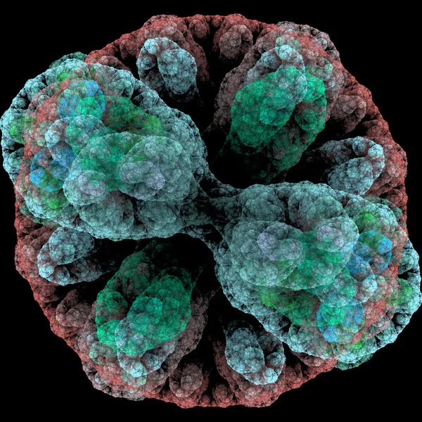 Симметричный рост бактерий — стоковое фото