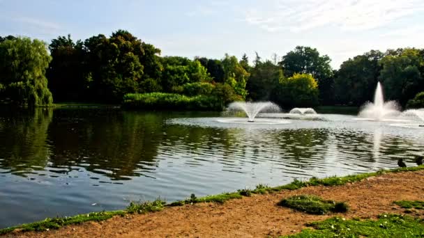 Park met fonteinen in de zomer — Stockvideo