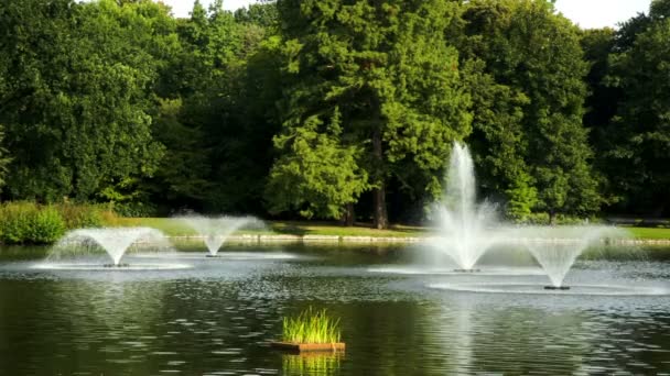 Parque con fuentes en verano — Vídeos de Stock