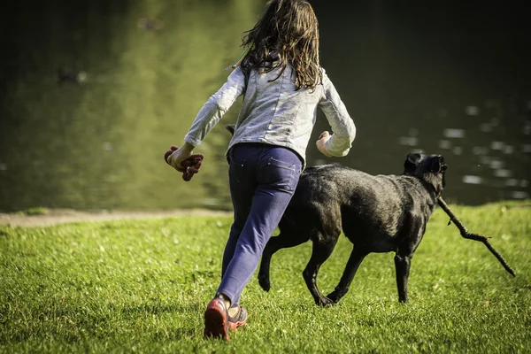 Mladá dívka a pes na trávě — Stock fotografie