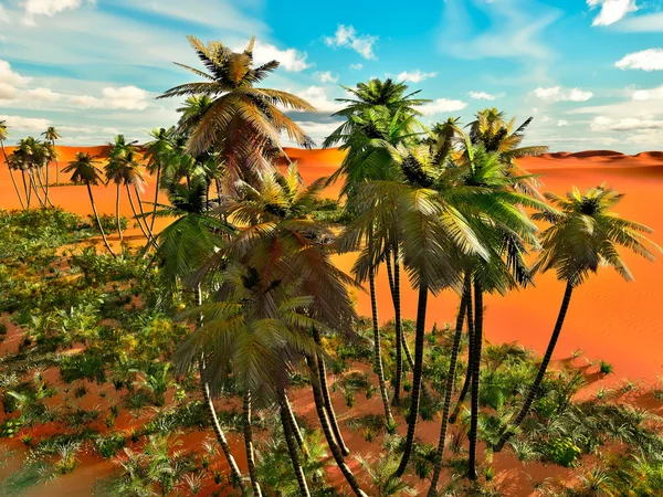 Palm trees on desert — Stock Photo, Image