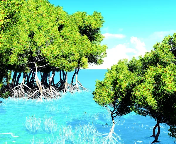 Vörös mangrove — Stock Fotó