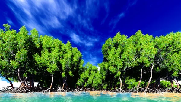 Красные мангровые деревья — стоковое фото