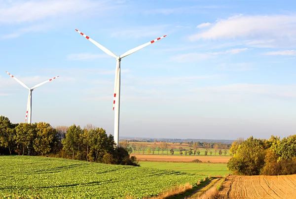 Windmolens — Stockfoto