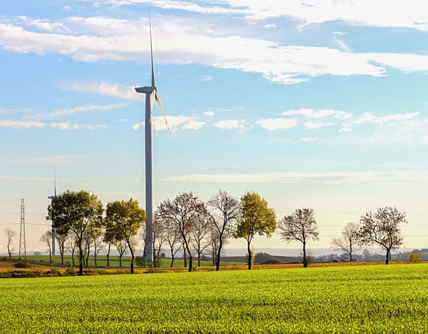 Windmolens — Stockfoto