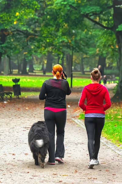 Two teenage with dog — Stock Photo, Image