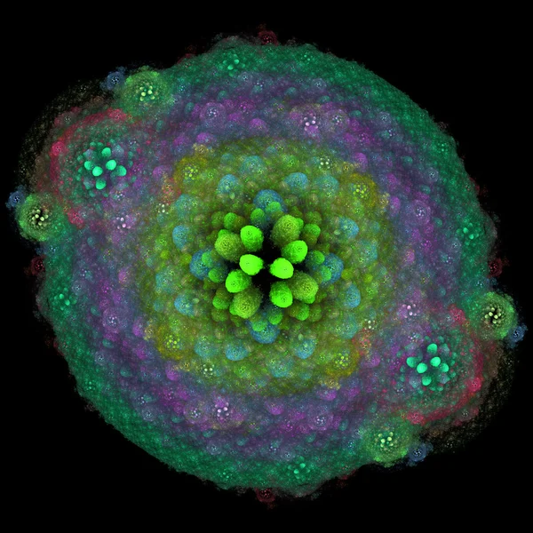 Symmetrical growth of bacteria — Stock Photo, Image