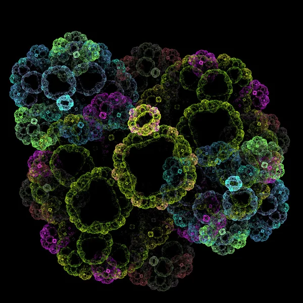 Croissance symétrique des bactéries — Photo