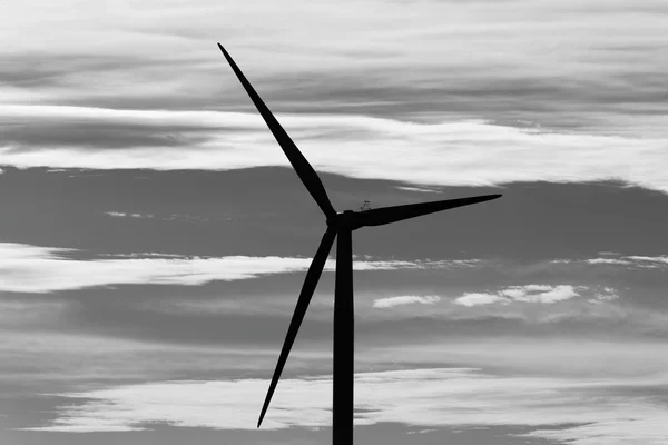 Windmolen — Stockfoto