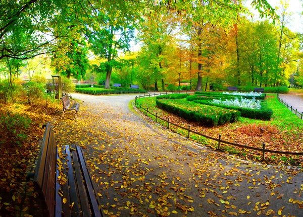 Caduta nel parco pubblico — Foto Stock