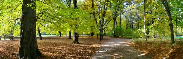 Fall in public park — Stock Photo, Image