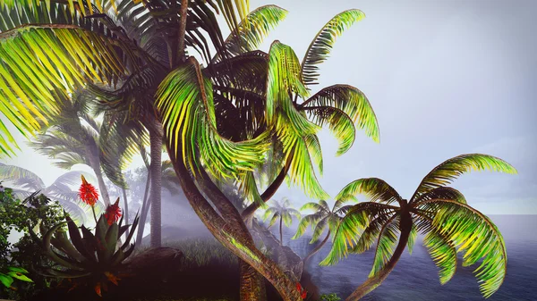 Hawaiianisches Paradies — Stockfoto