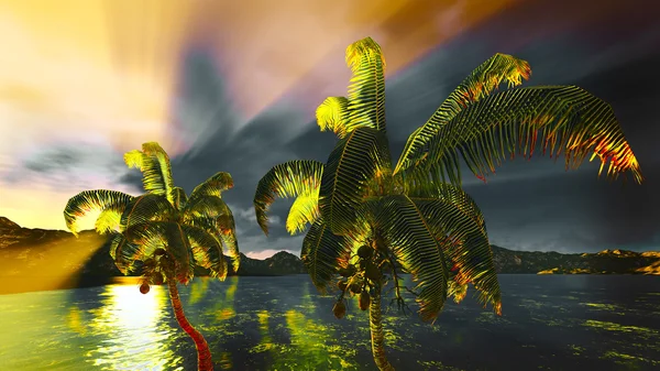 Hawaiian Paradise — Stockfoto