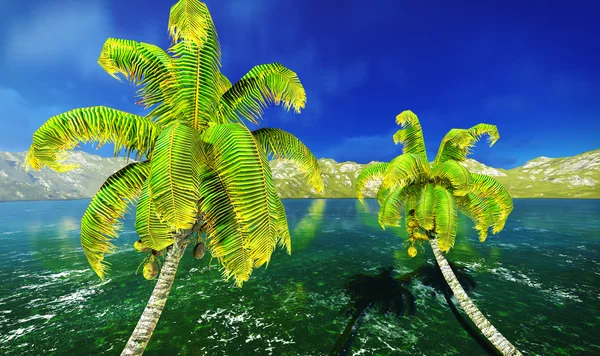 Hawajski raj — Zdjęcie stockowe