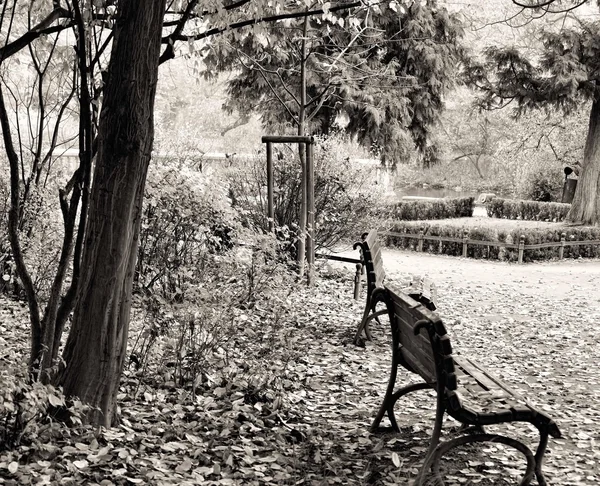 Fall in public park — Stock Photo, Image