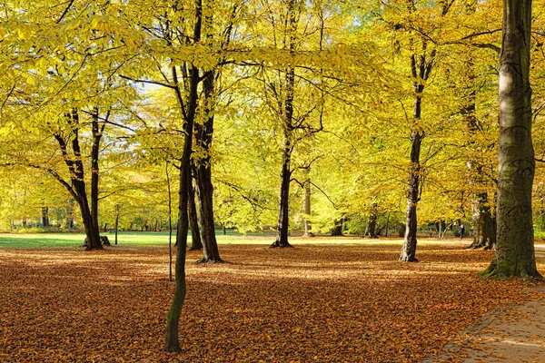 Vallen in openbaar park — Stockfoto