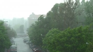 Ağır Sağanak City