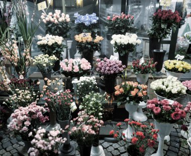 Çiçekçi standları