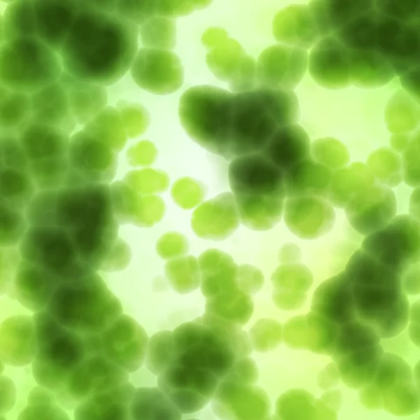 Komórki bakterii z bliska — Zdjęcie stockowe