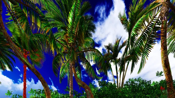 Hawaii Adası cennet — Stok fotoğraf