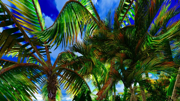 Paradies auf Hawaii — Stockfoto