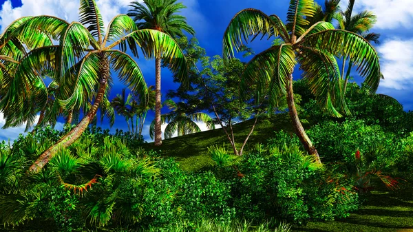 Paradies auf Hawaii — Stockfoto