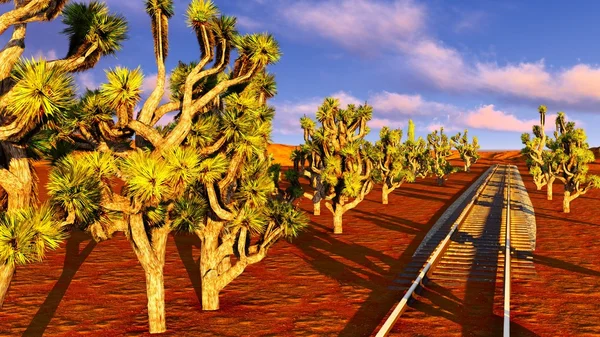 Josué árvores e ferrovia — Fotografia de Stock