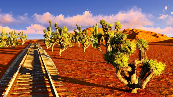 Joshua träd och järnvägen — Stockfoto