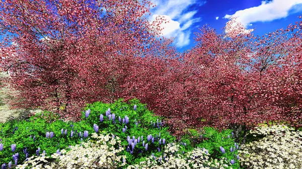 Los manzanos florecen en primavera — Foto de Stock