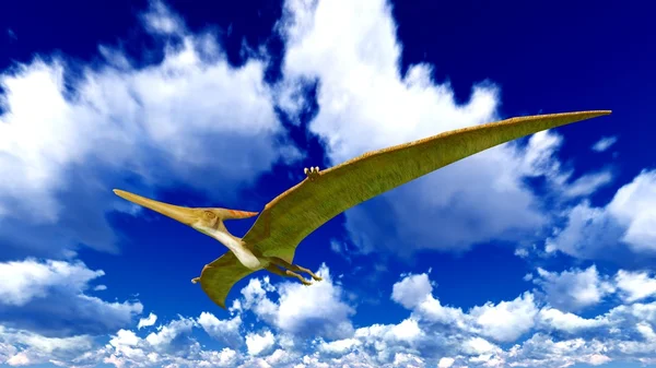 Flygande pterodactyl — Stockfoto