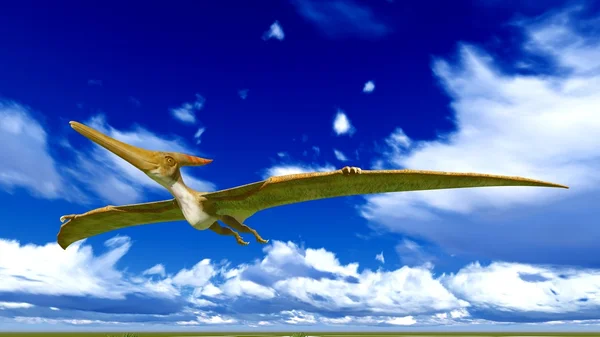 Vliegende pterodactyl — Stockfoto