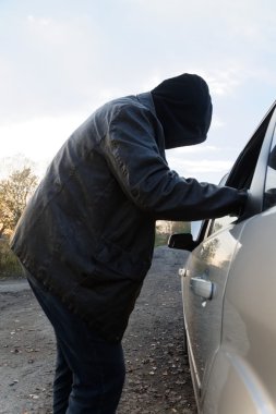 Arabaya girmiş holigan