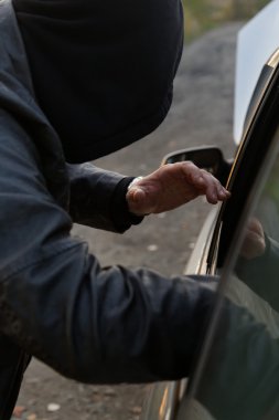 Arabaya girmiş holigan